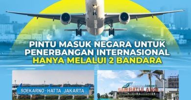 Pintu Masuk Internasional Indonesia