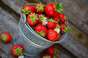 tempat-wisata-petik-strawberry-di-bedugul-2023